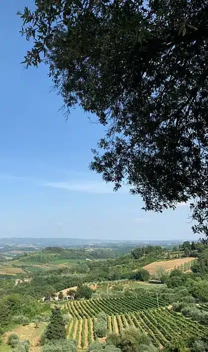 View from Le Vecchie Mura Tuscany