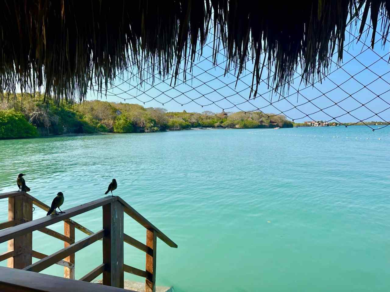 Beautiful Beaches And Coastlines | Wild Bay Co