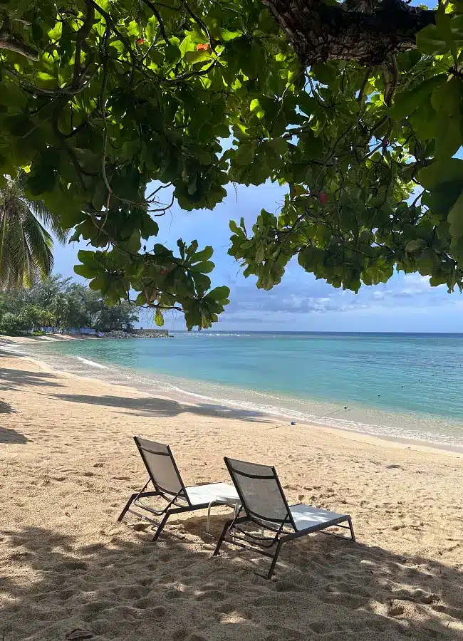 Beautiful beaches in the Caribbean. Sunloungers on Sunset Beach at Half Moon resort in Jamaica