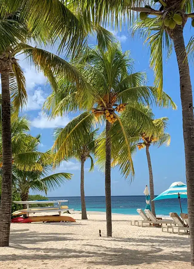Beautiful beaches in the Caribbean. Palm trees and sunloungers on Shoal Bay East at Zemi Beach House, Anguilla