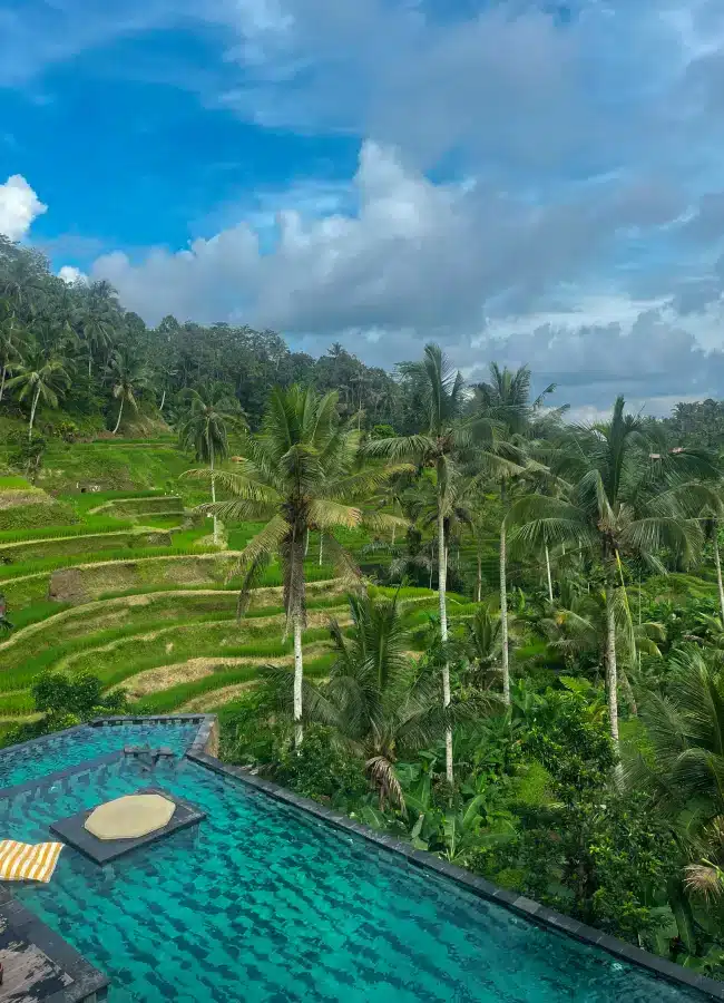 Unique hotels and things to do in Ubud and Canggu Bali