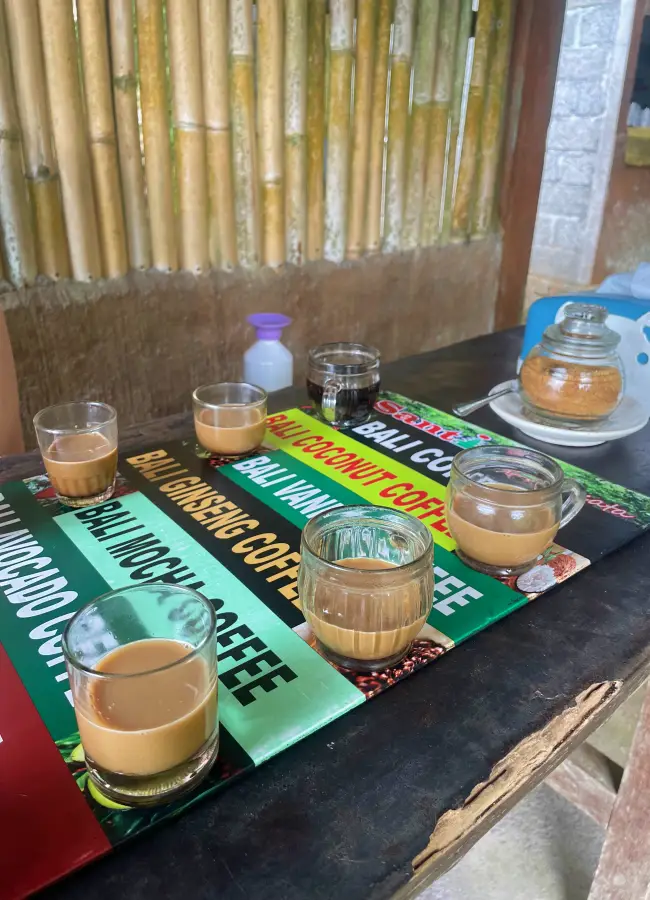 Unique hotels and things to do in Ubud and Canggu Bali