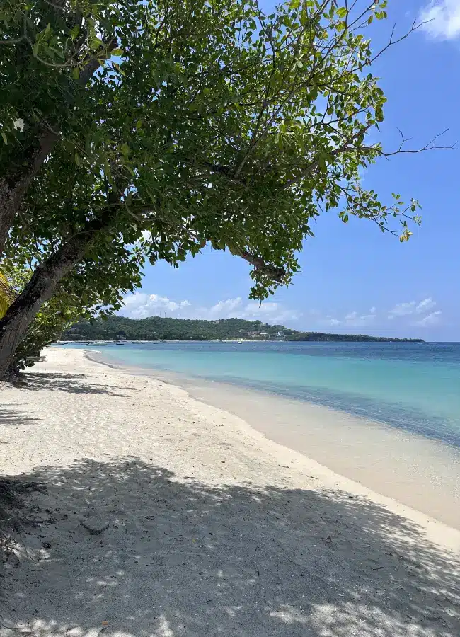 Beautiful beaches in the Caribbean. Grand Anse Beach in Grenada