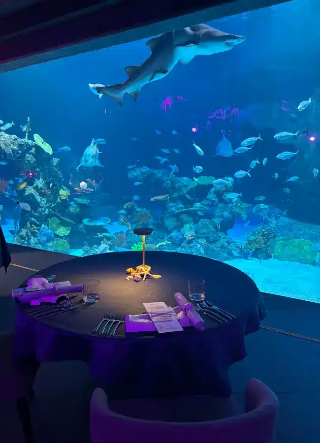 Things to do in Phuket and where to stay