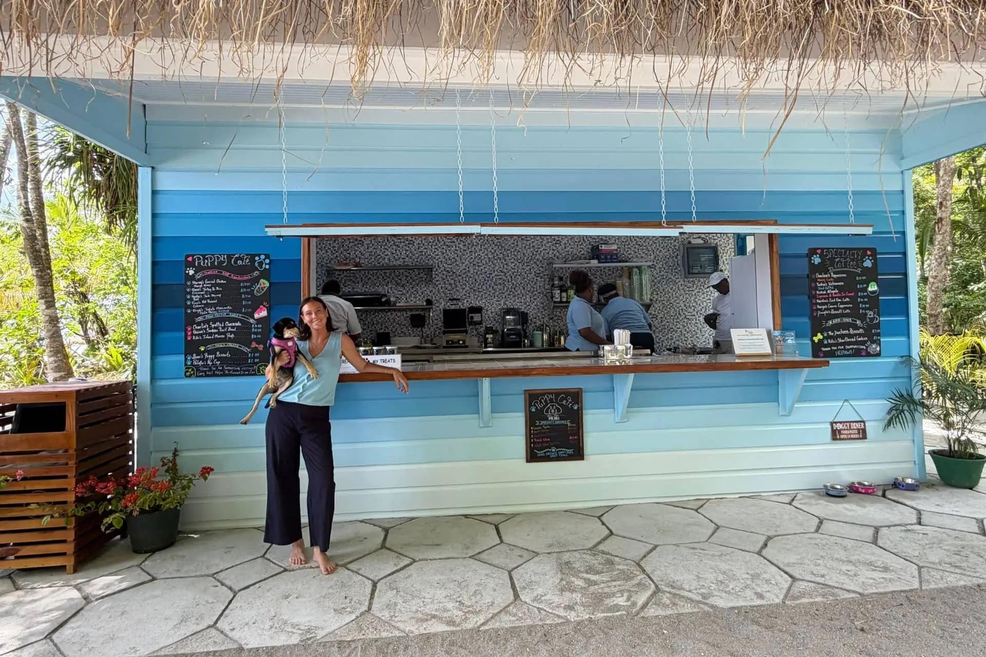 Saint Lucia’s new Puppy Café pairs beachside coffee with rescue dog adoptions