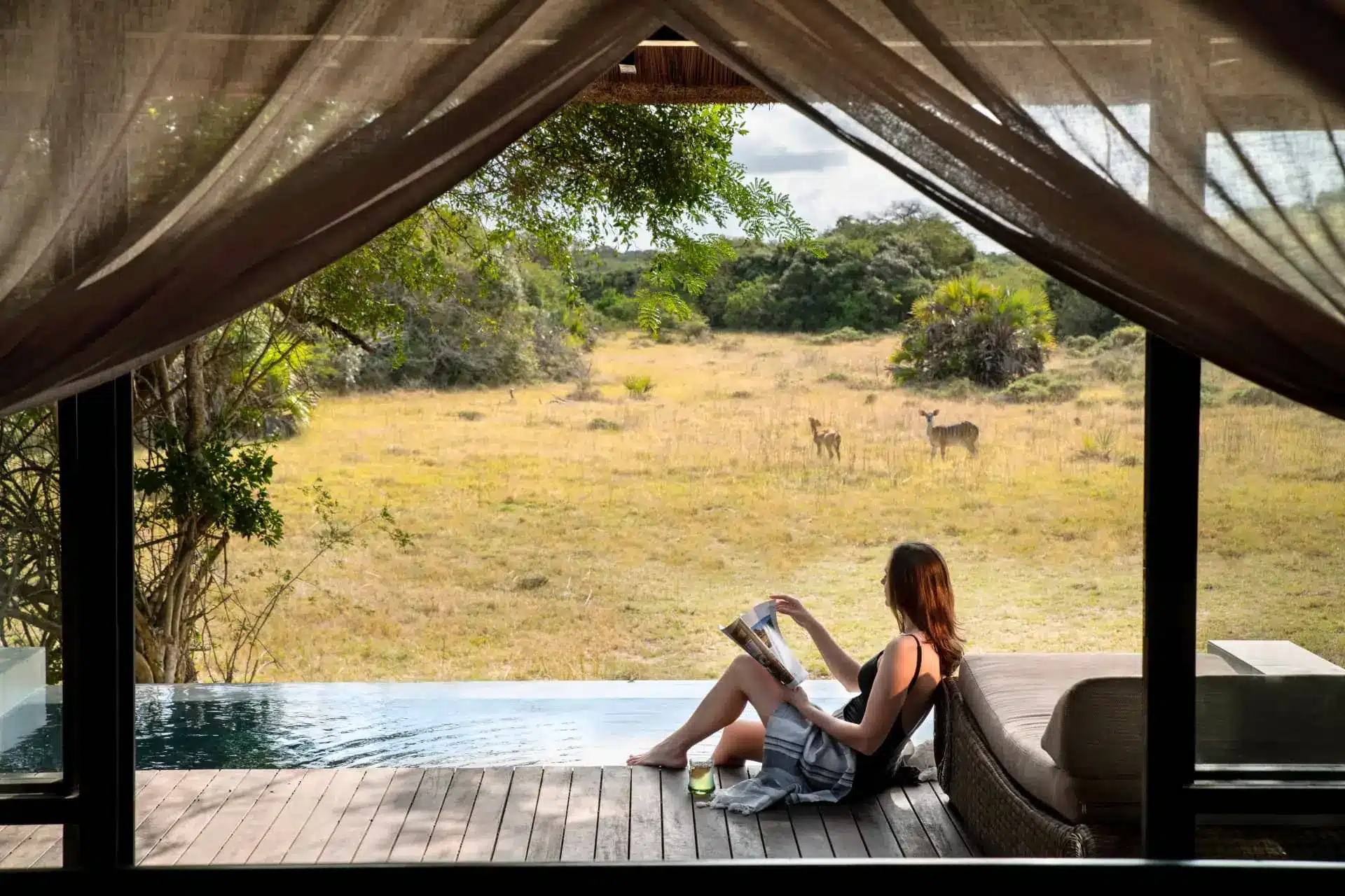 Woman reading beside a plunge pool in a luxury safari lodge overlooking grazing antelope