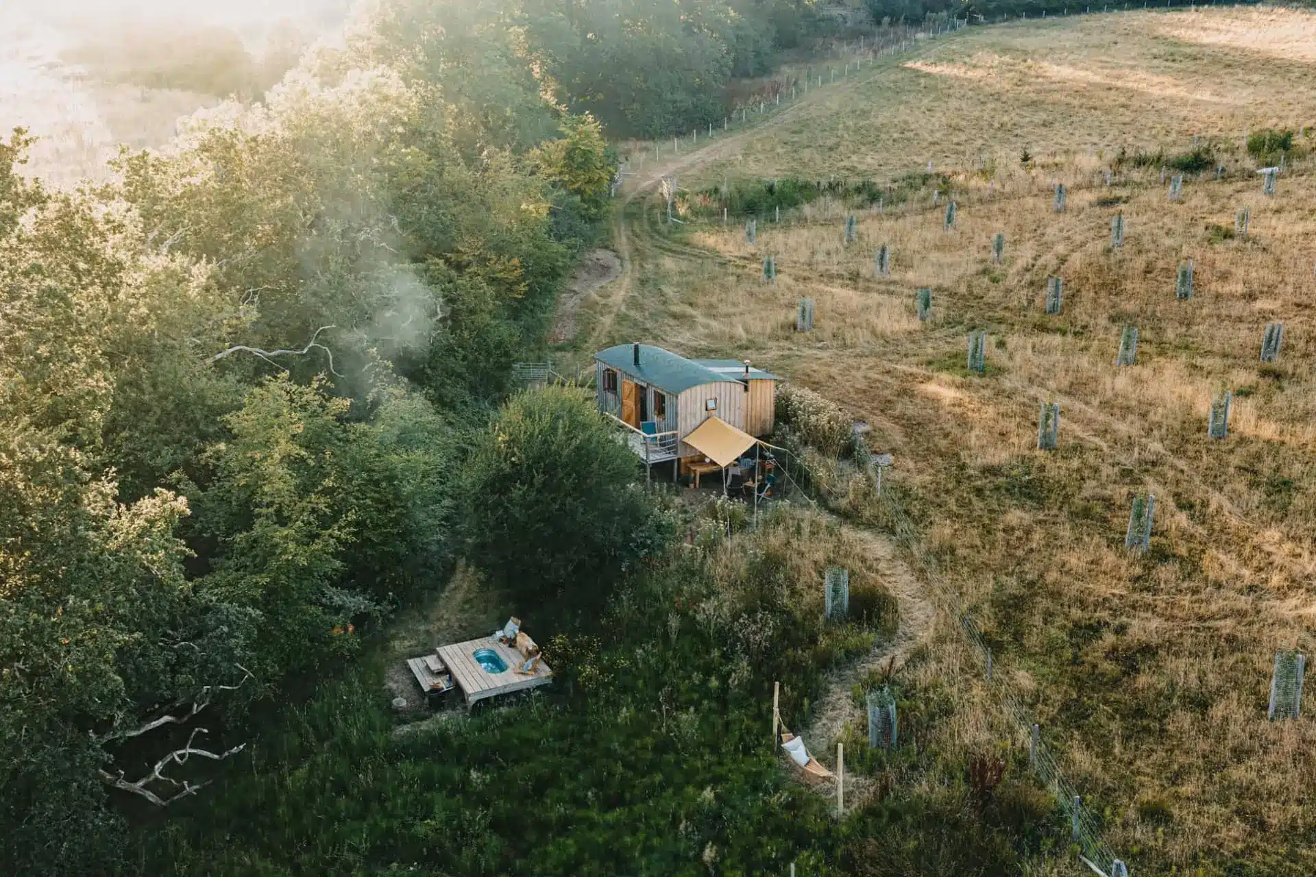 Aerial view of a secluded cabin and outdoor soaking tub beside a young vineyard on a wooded hillside