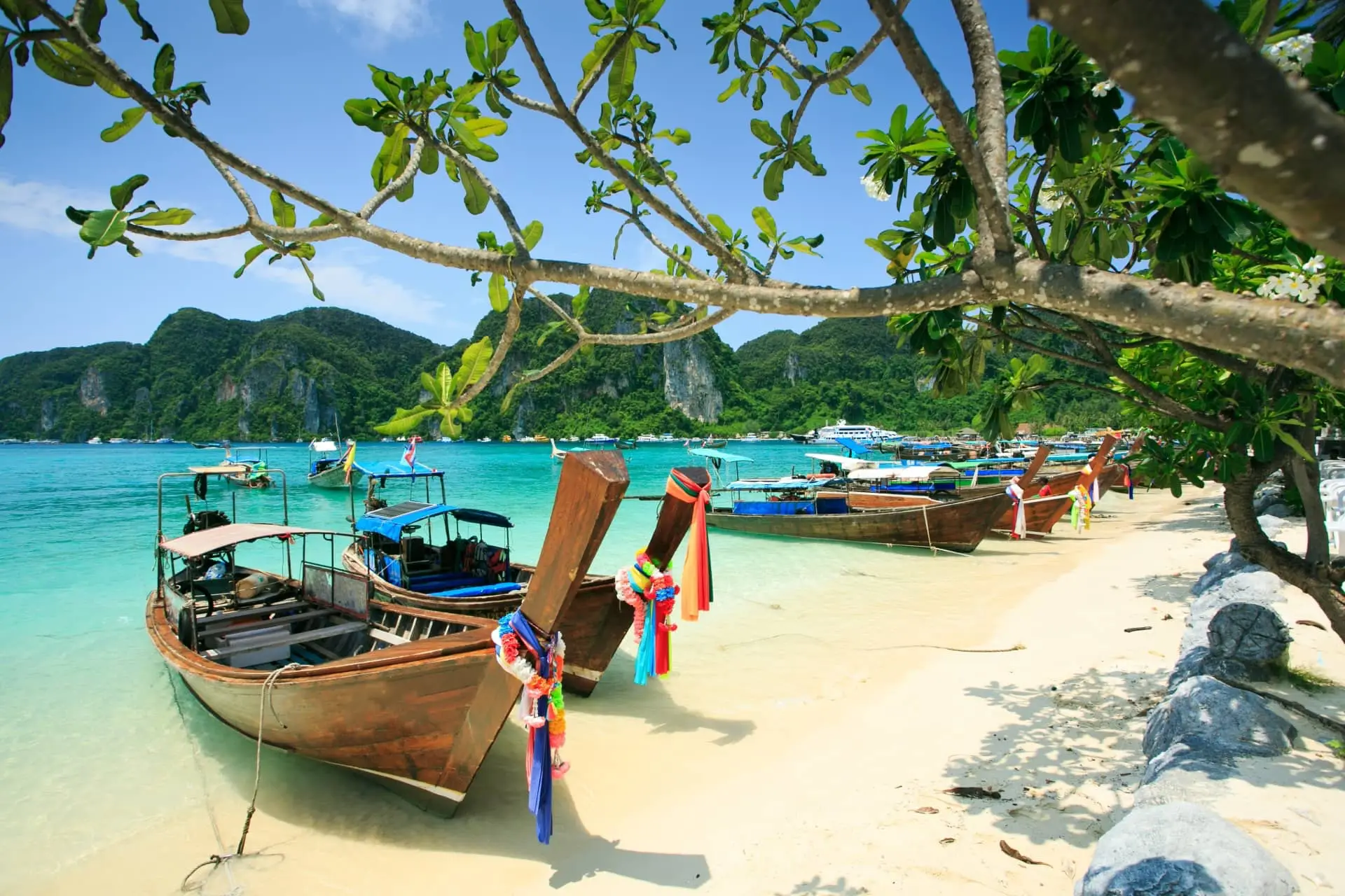 Colorful longtail boats moored on a tropical beach beneath a tree, with turquoise water and forested cliffs beyond