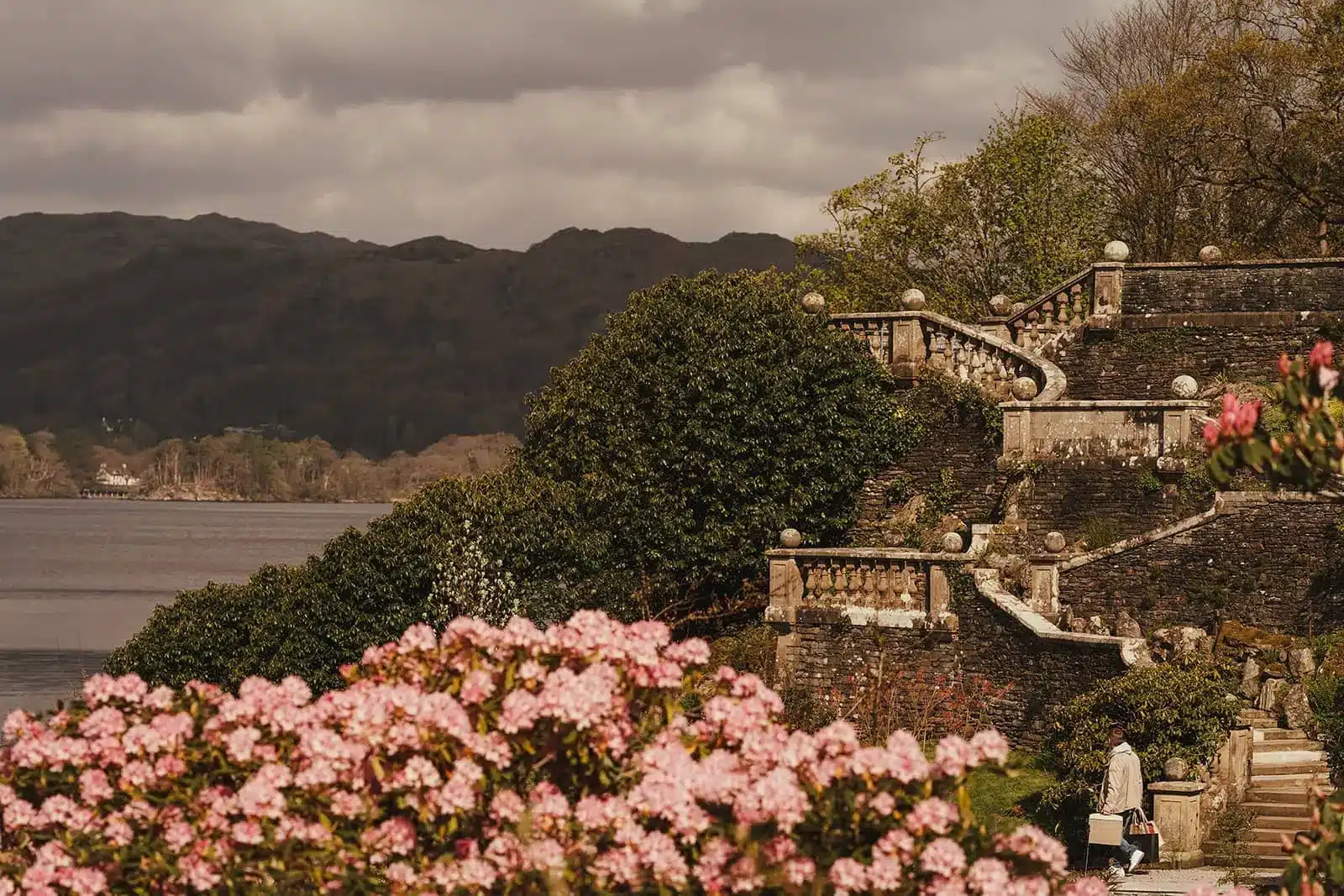 Pink hydrangeas fill Langdale Chase’s terraced gardens above Lake Windermere, with wooded hills beyond.