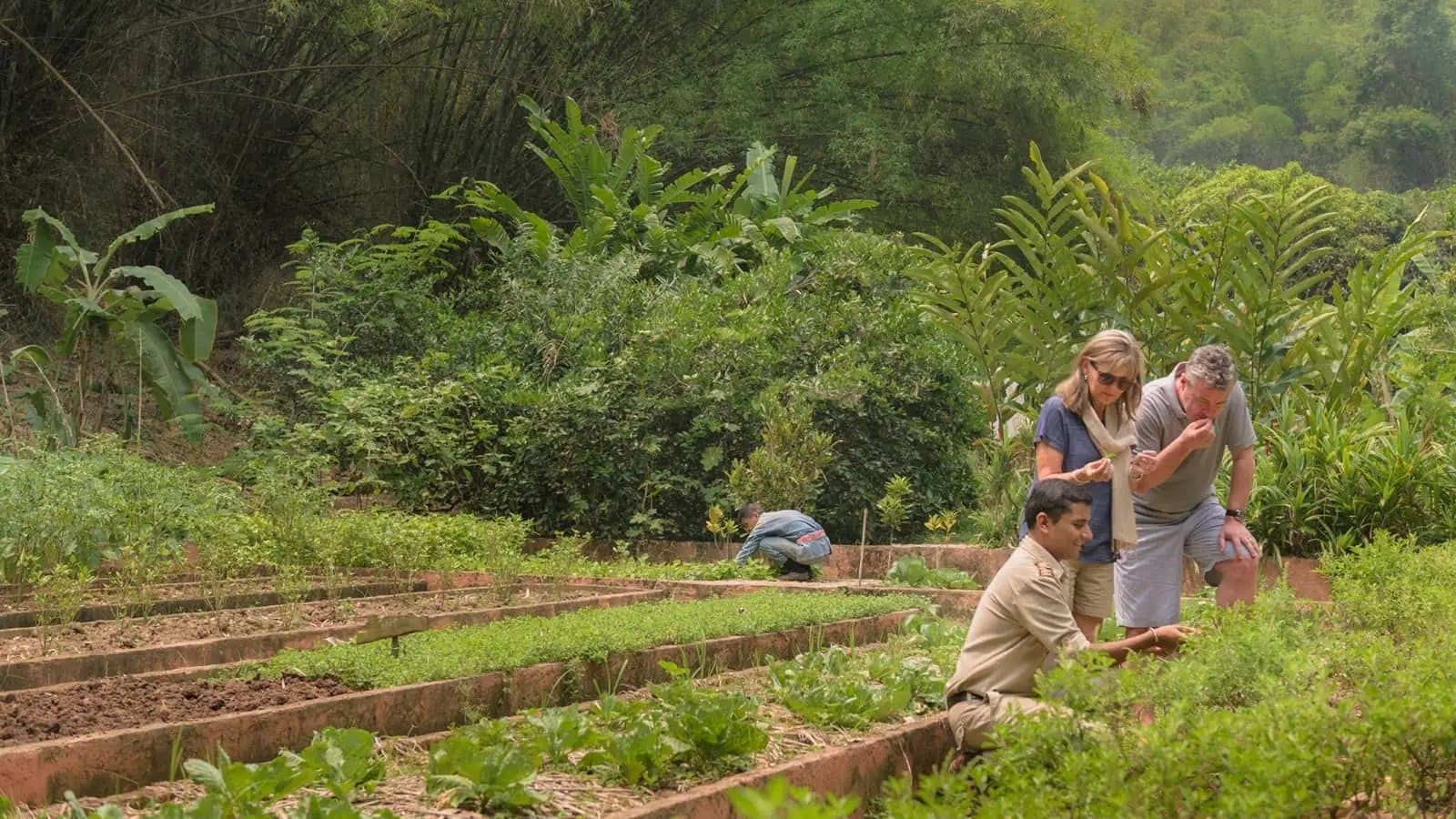Four Seasons Tented Camp launches Golden Triangle cooking experience to mark 65 years of Four Seasons