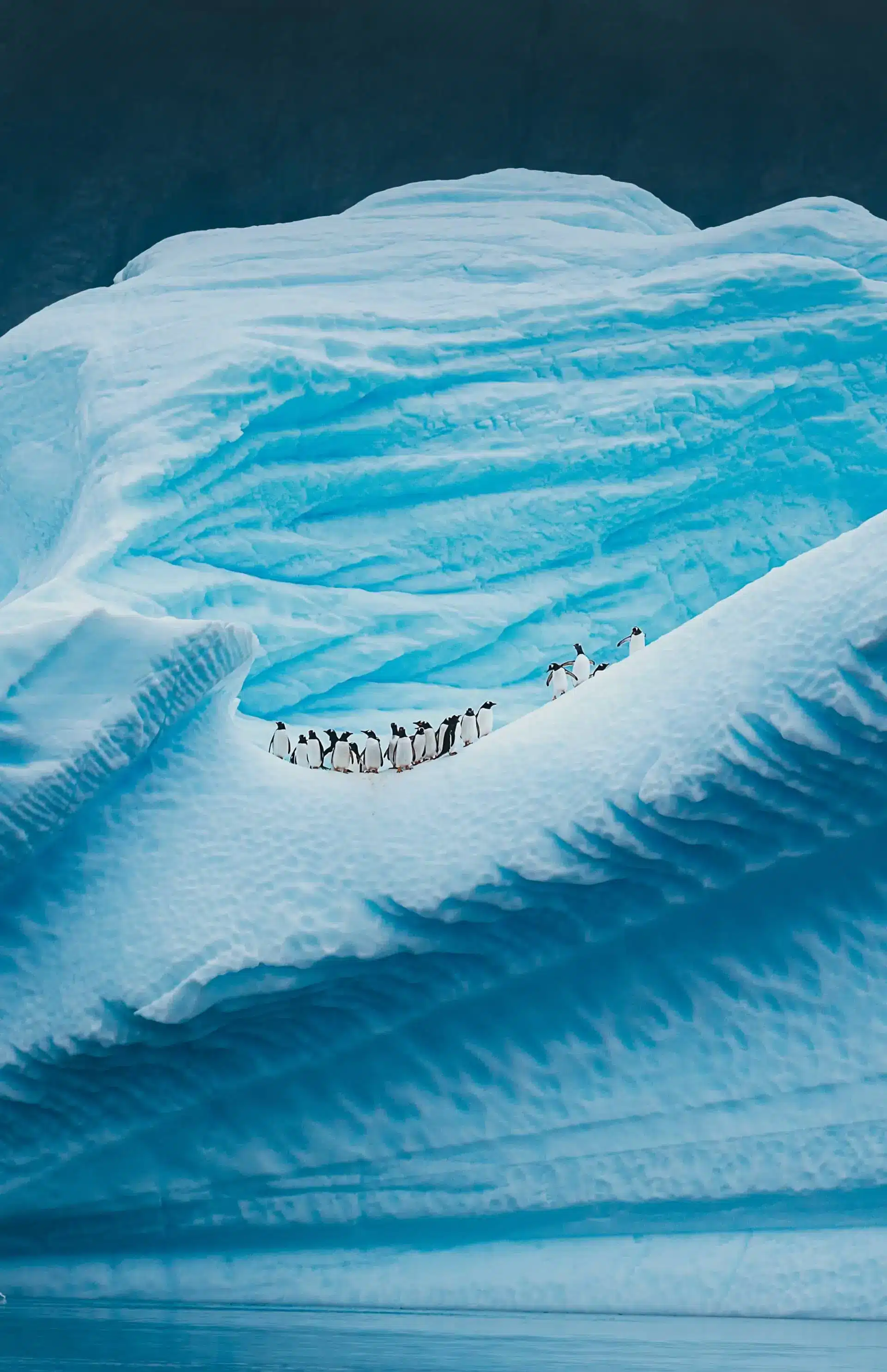 A small group of people stands on a snowy ridge in Antarctica, surrounded by sweeping blue-white ice formations.