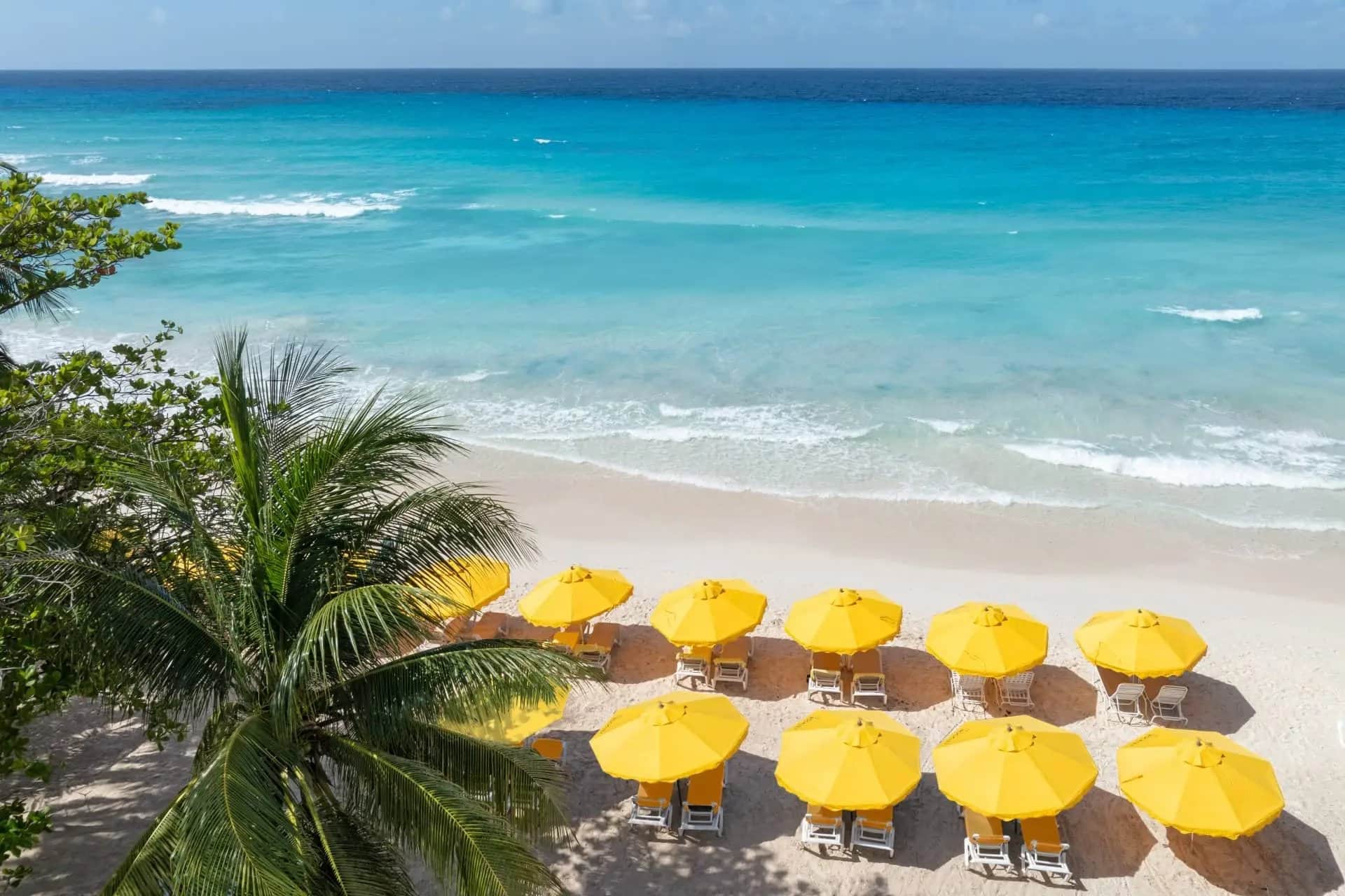 Barbados Food and Rum Festival 2026: hotel offers with up to 60% off