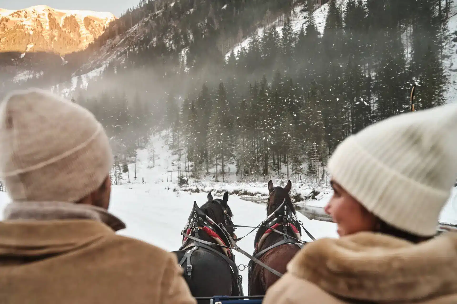 Guests in a horse-drawn sleigh cross a snowy forest at DAS EDELWEISS in the Grossarl Valley.